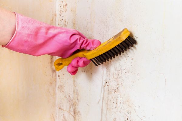 How to Clean Stucco Surfaces Effectively