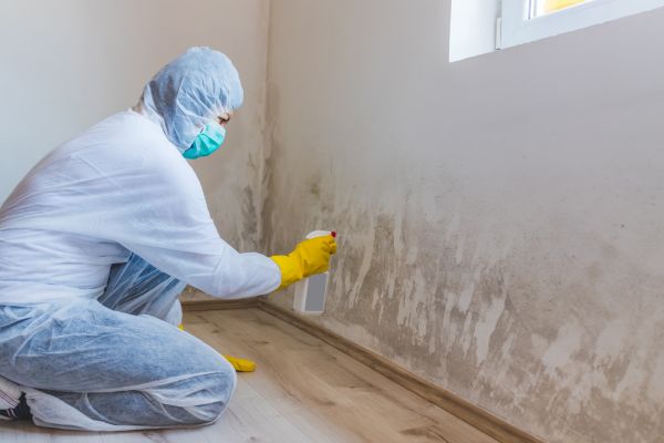 stucco worker removing mold from stucco wall