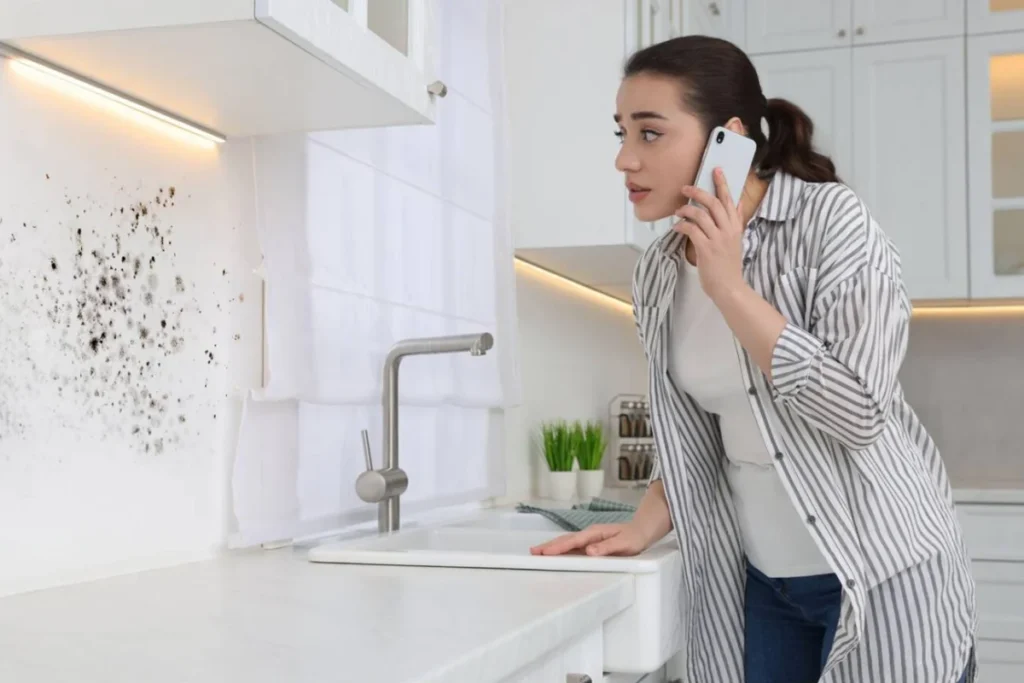 top tools used for mold detection - mold remediation... Tampa Mold Remediation Experts – Safe Mold Removal