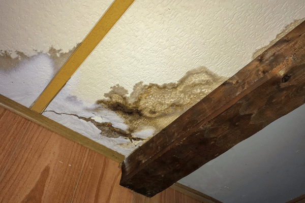 Stucco Water Damage: Warning Signs Florida Homeowners Should Never Ignore
